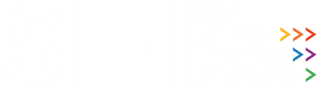 SDG Logo
