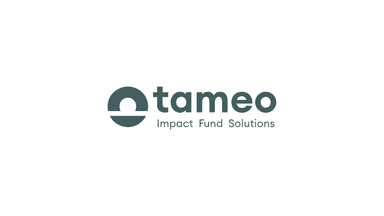 Tameo Logo