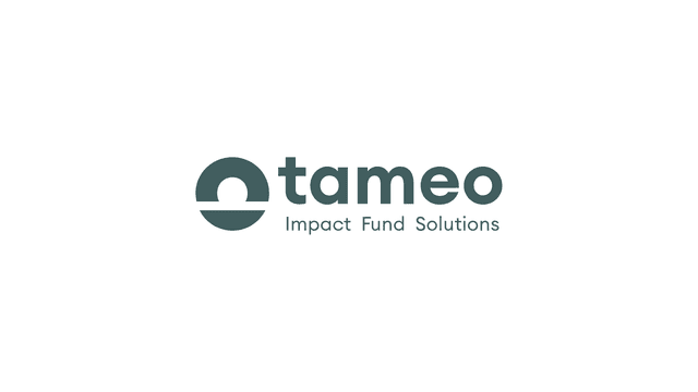 Tameo Logo